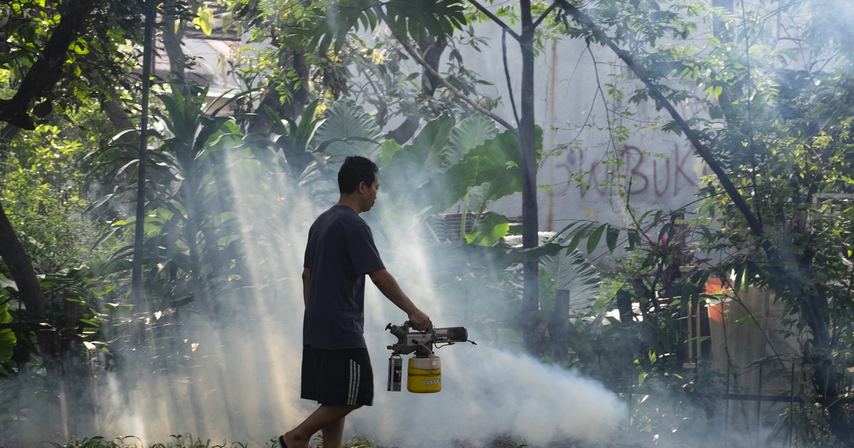 Mosquito control fumigation against dengue fever in Indonesia